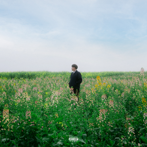 业余性自由摘花毛茸茸高清
